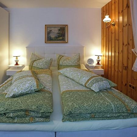 Appartamento Domizil Aschbergblick Klingenthal Esterno foto